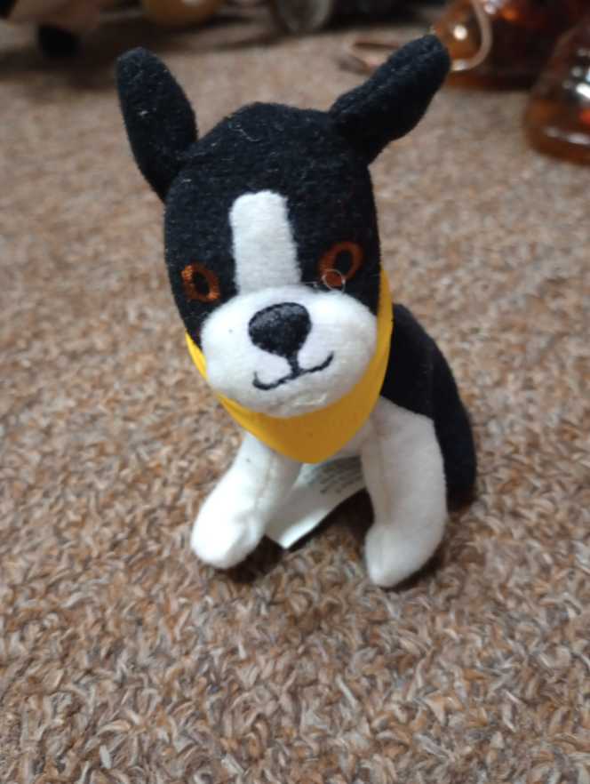 Ziggy the Dragon with headband