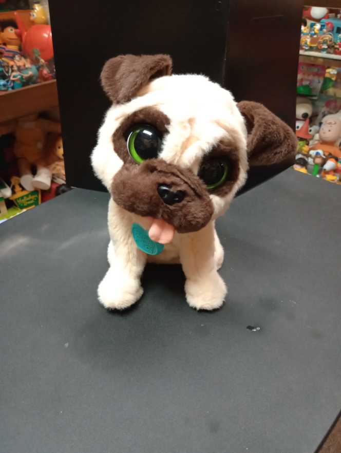 Sam Follow Your Legend