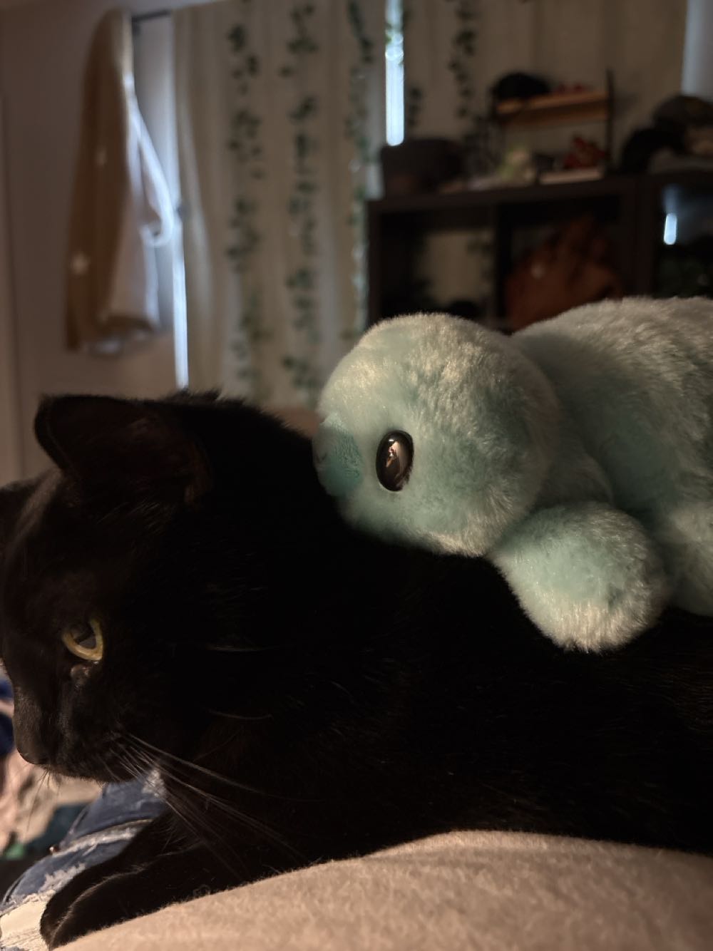 Image 44916