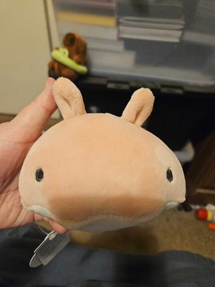 Marshmallow Aquamie  plush collectible - Main Image 3