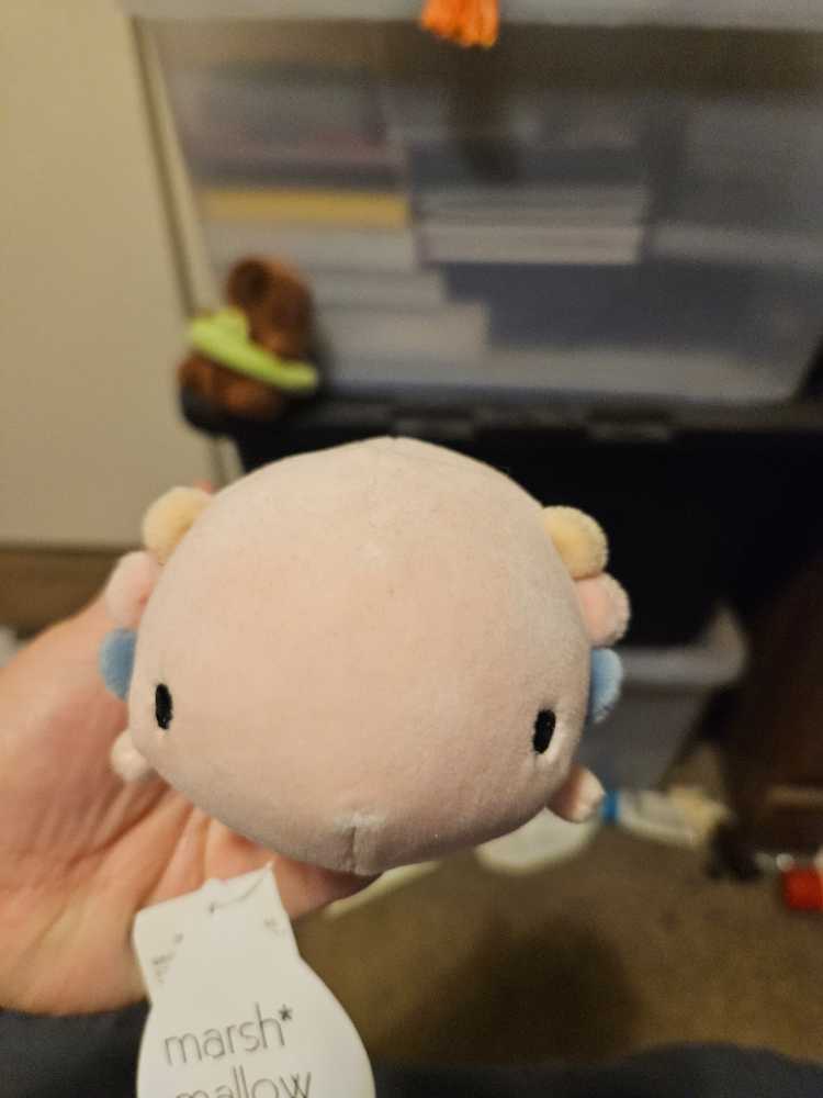 Marshmallow Aquamie  plush collectible - Main Image 4