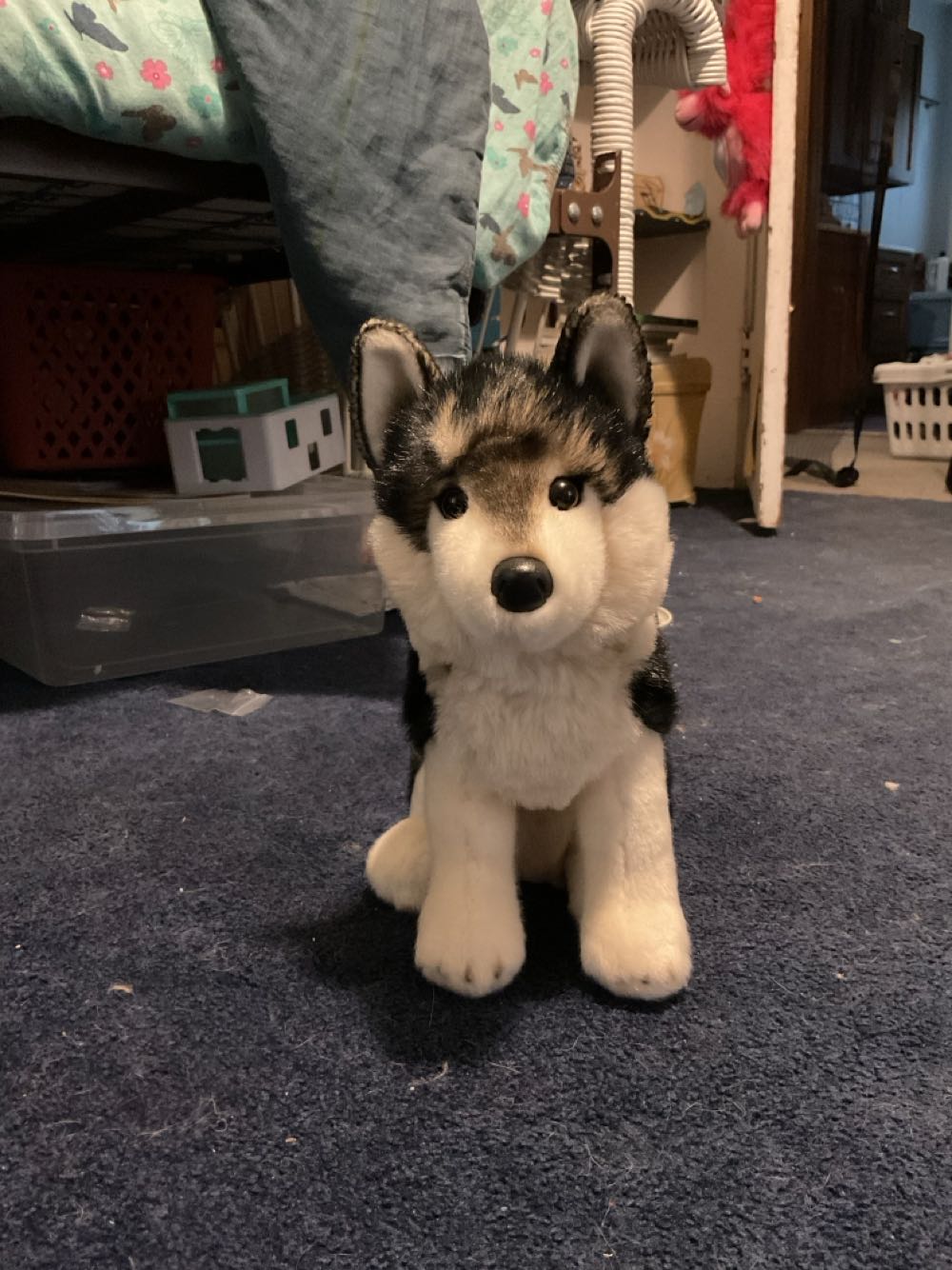 Douglas Atka Wolf  (United States) plush collectible - Main Image 4