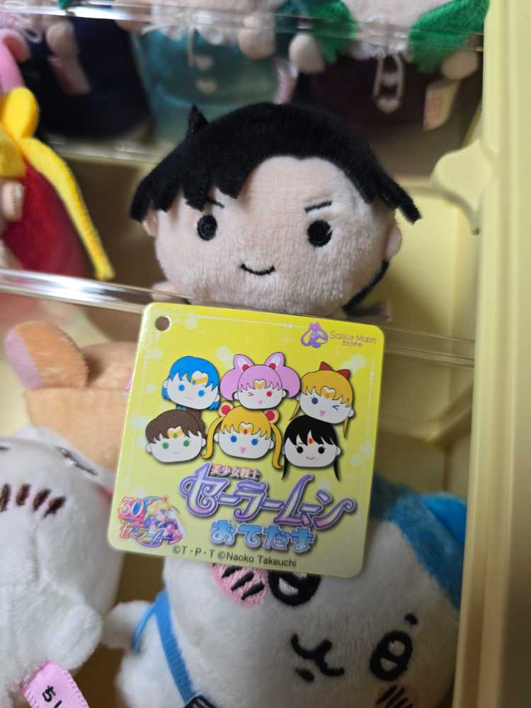 Sailor Moon - Otedama - Prince Endymion  (Japan) plush collectible [Barcode 4960919366610] - Main Image 2