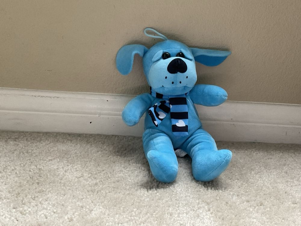 Pound Purries Orange Tabby Cat