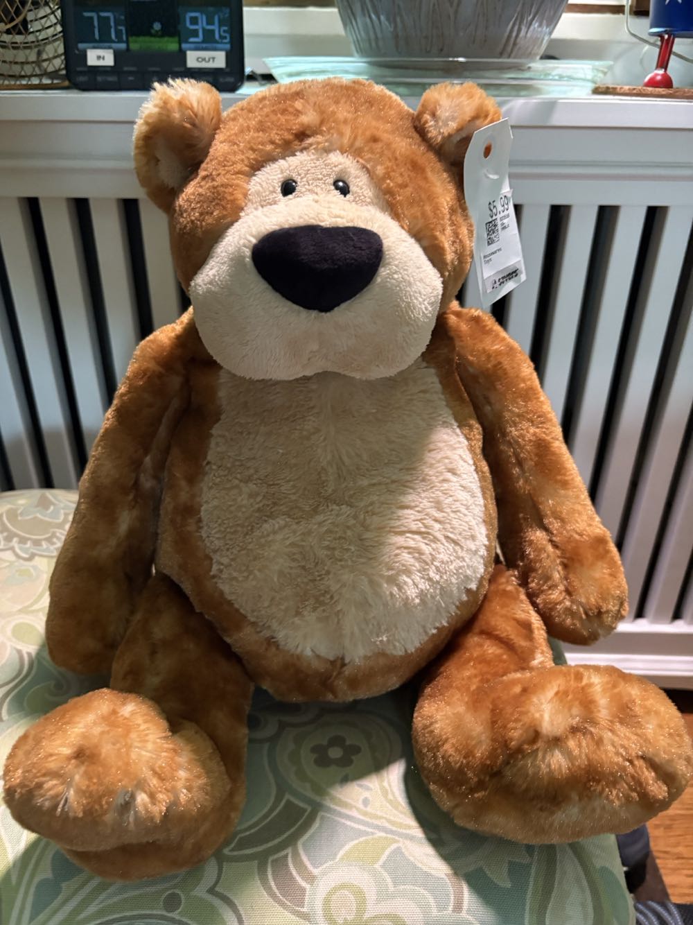 The Finnegans Go Sailing