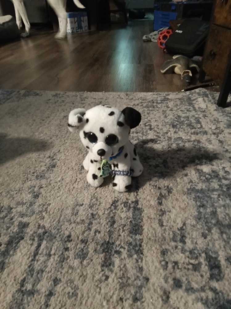 Bee (Cat Bee Crochet)