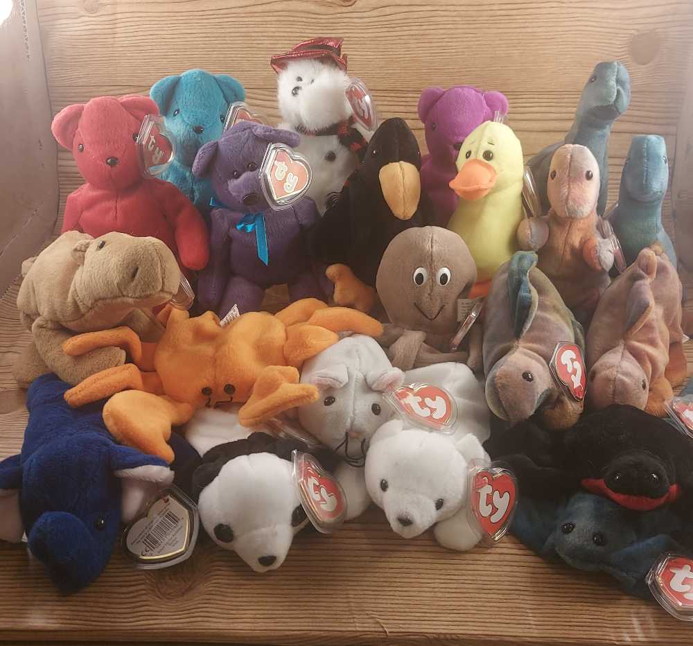 Squishmallow 8” Warren The Boar Official Kellytoy New Plush Cute And Soft Stuffed Animal Toy Great Gift For Kids