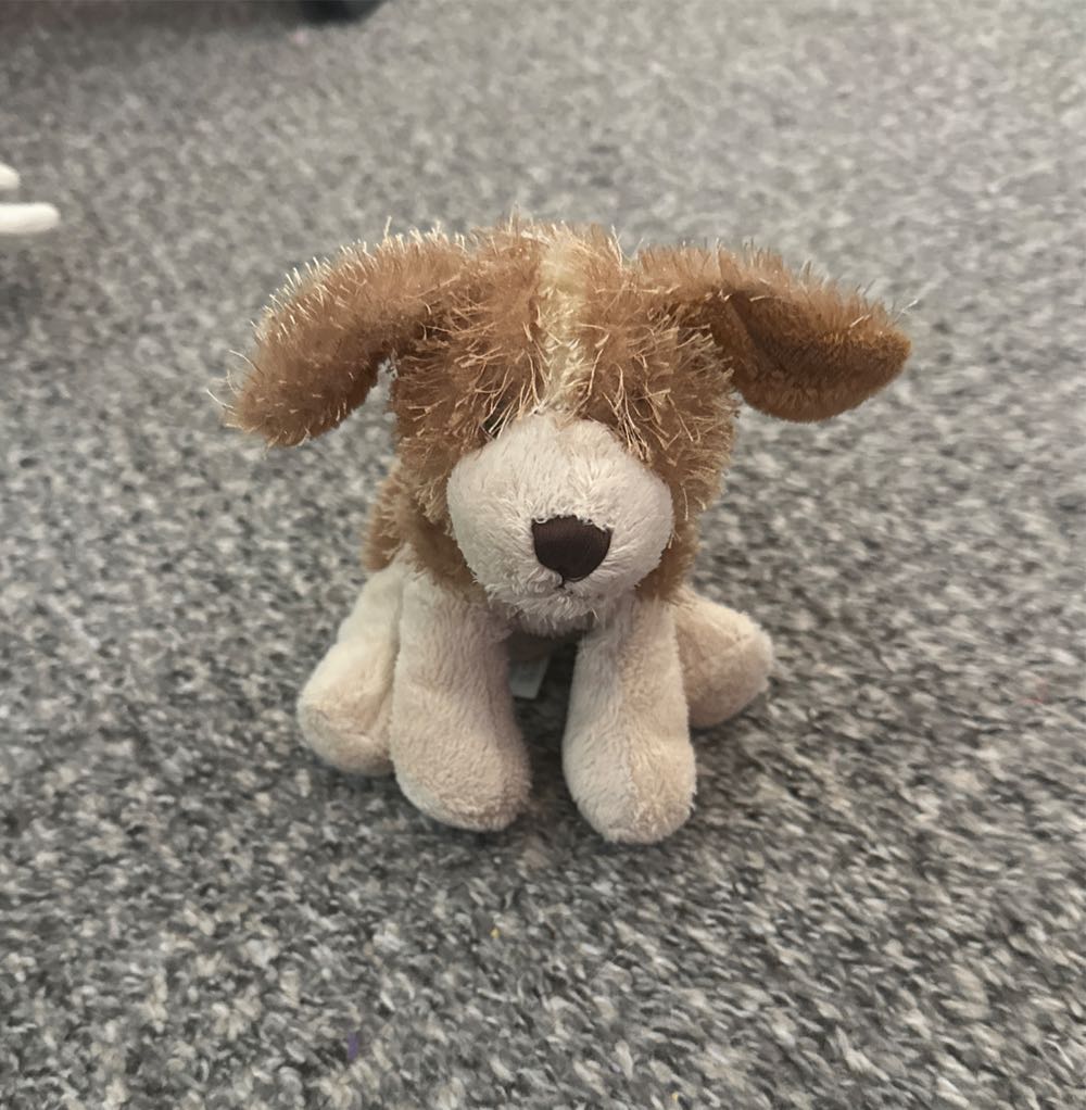 Spaniel Webkinz Lil Kinz  plush collectible [Barcode 065810276014] - Main Image 2