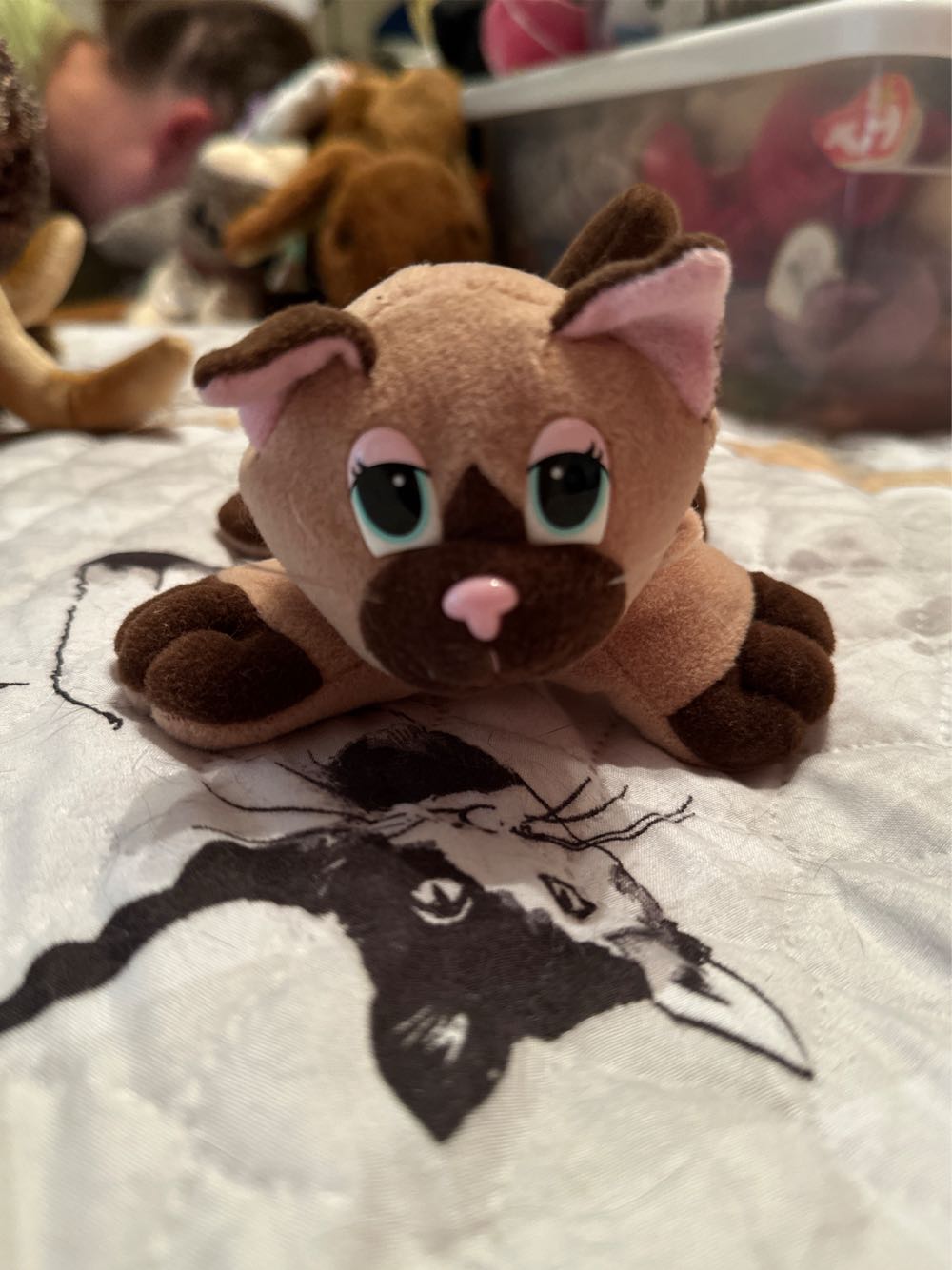 Share Bear (Talking) 13”