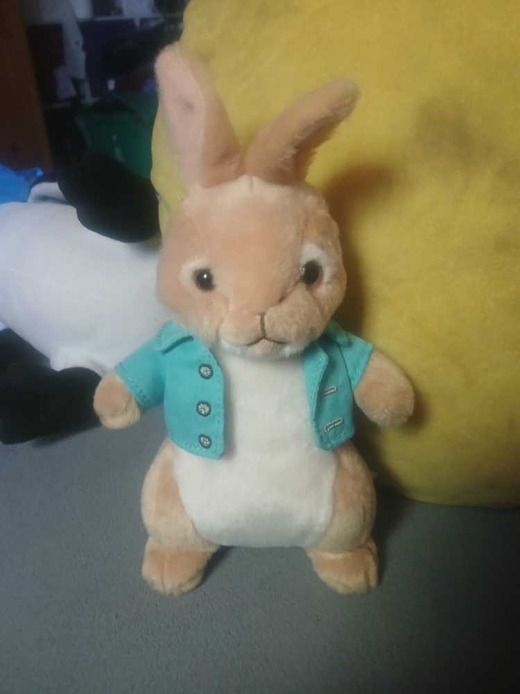 Bashful T Bearhugs By The Boyds Collection