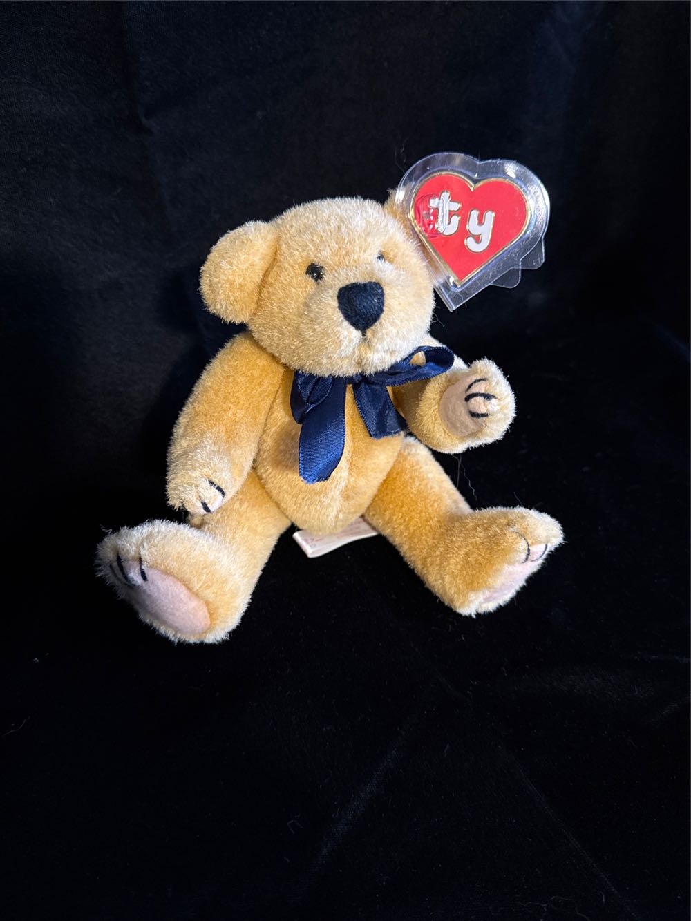 Desert Rain Frog Plush Toy