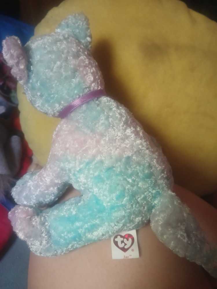 Jaz Beanie Baby  plush collectible - Main Image 2