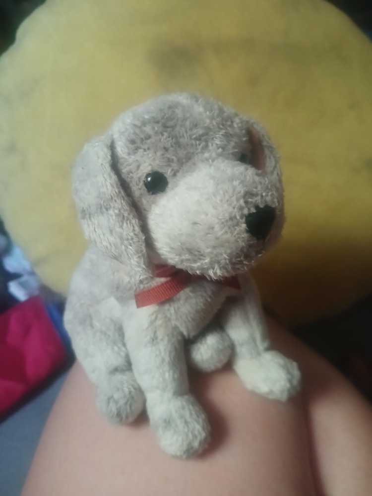 Share Bear (Nanco) 20”