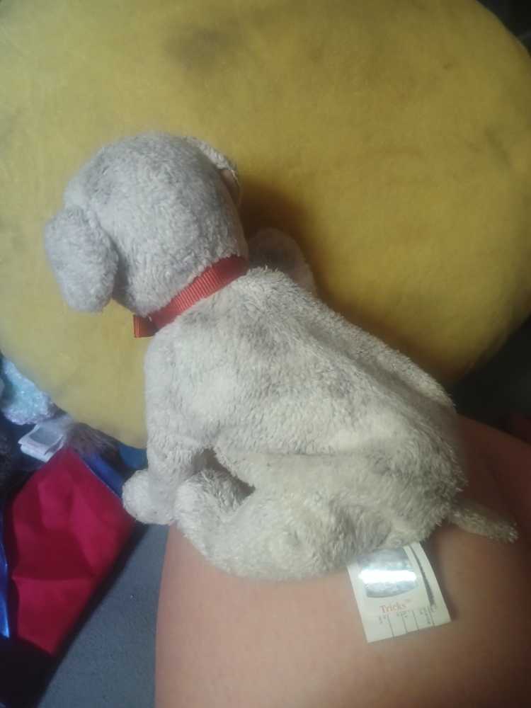 Tricks Beanie Baby  plush collectible - Main Image 2