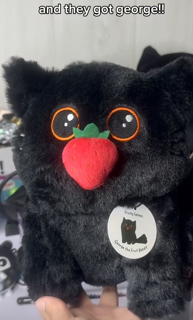 Cow - Mooi (Pegacow)