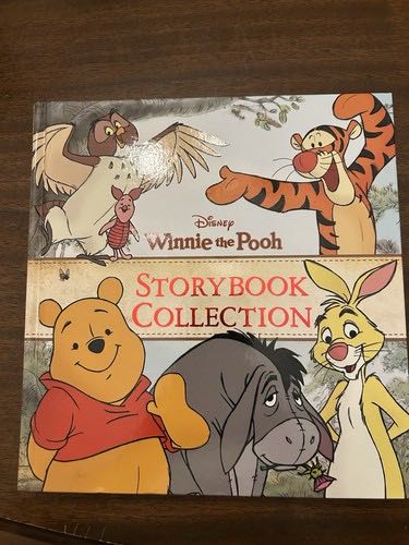 True North Bear 3.0 Canadian Exclusive Care Bears – Medium Eco