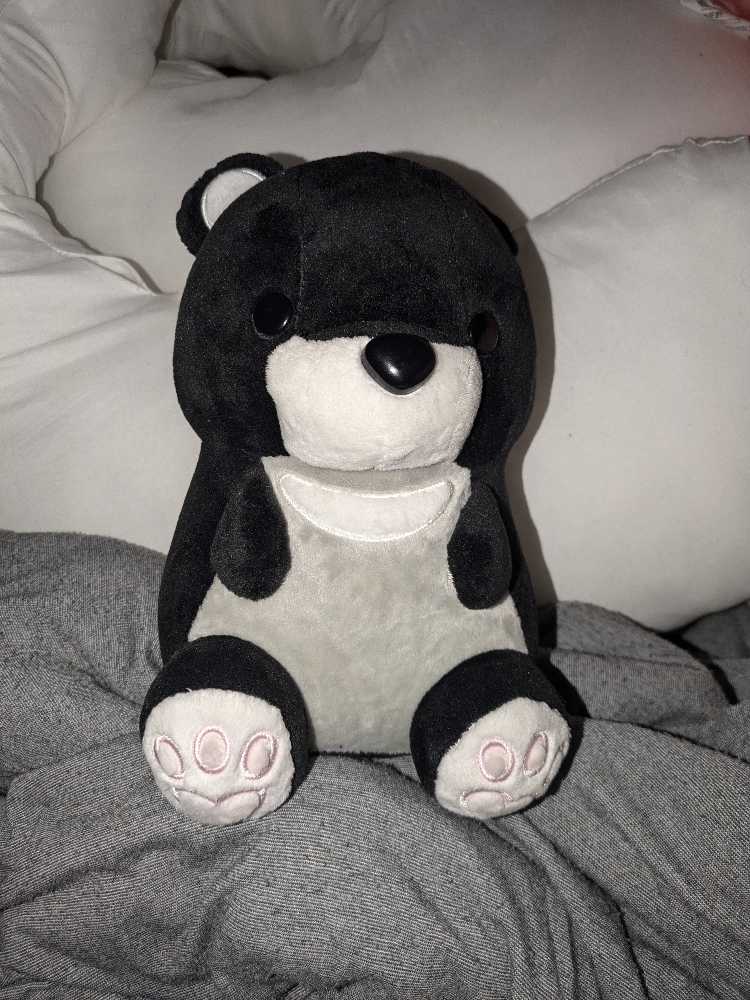 You! Pokemon I Choose You! Zoroark Tomy Takara ポケモン Kimi Ni Get Pokémon Arts Kimeta ゾロアーク