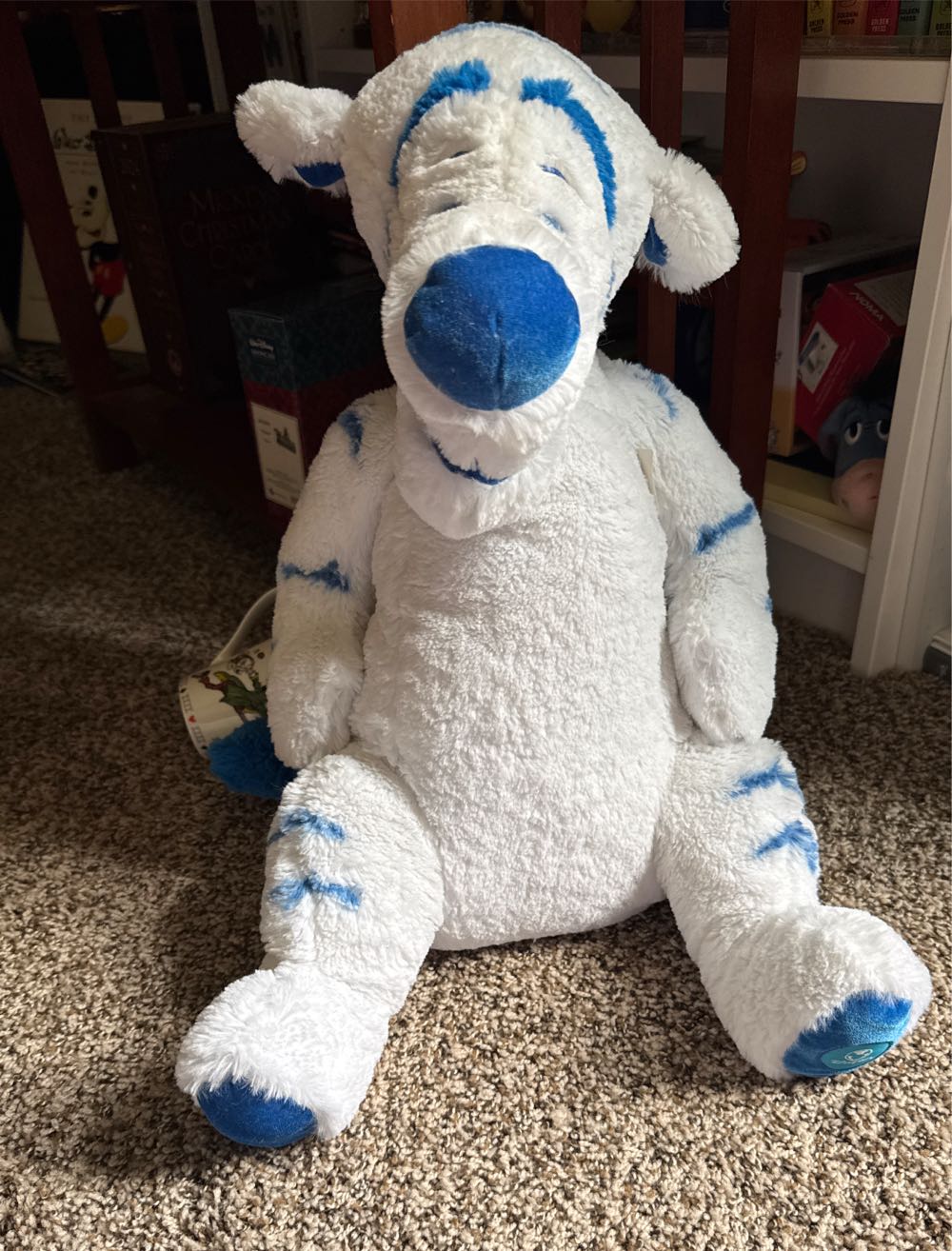 The Finnegans Go Sailing