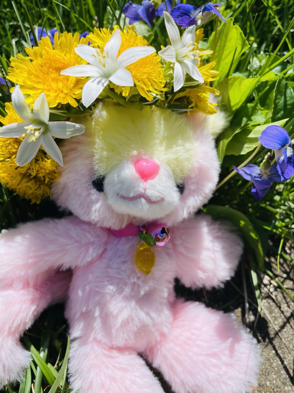 Peace the Bear (115)