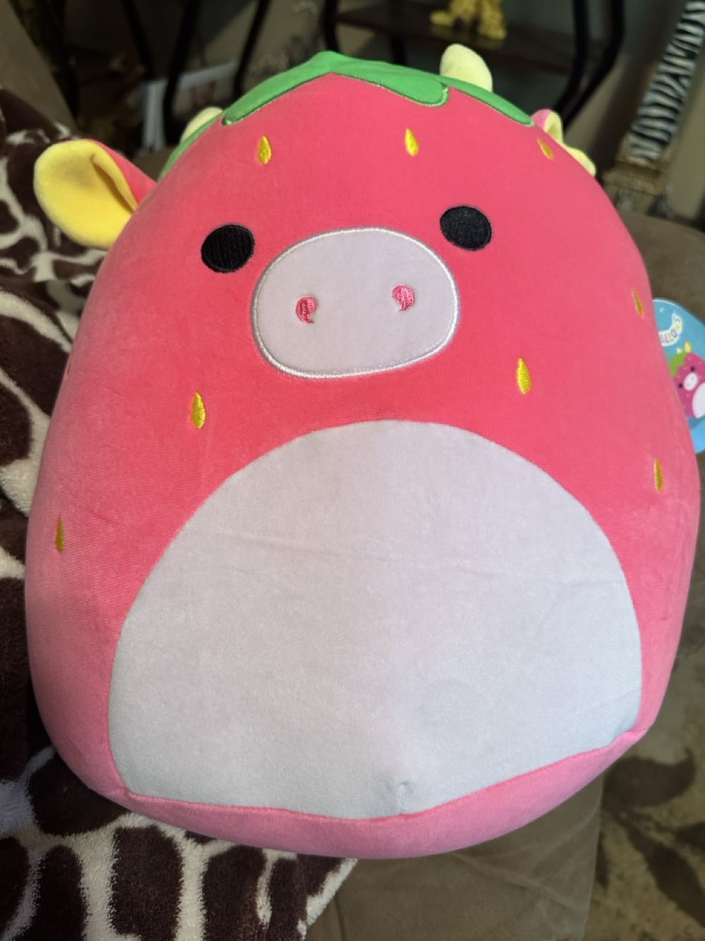 ~Internet Exclusives - St. Patrick’s* No UPC