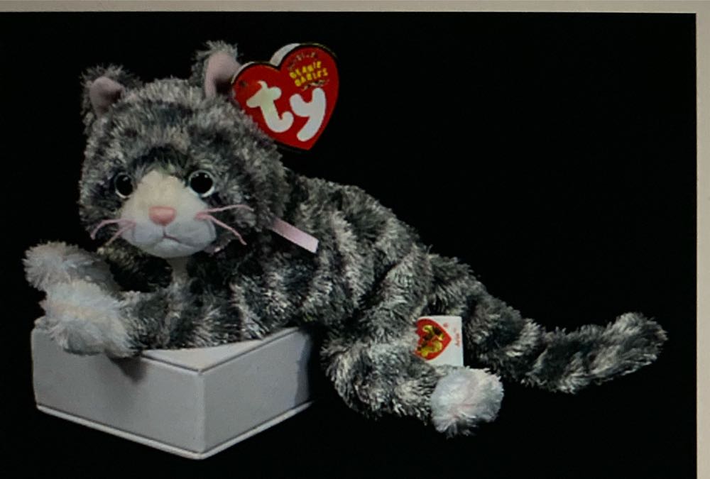 America Cares Bear (Nanco) 6”