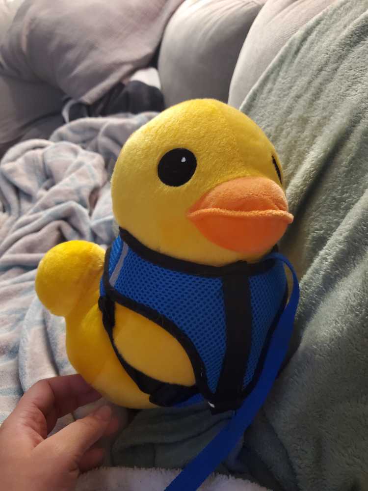 Storybook Collection: Mickey And Minnie’s Storybook Collection Special... Special Edition Disney B