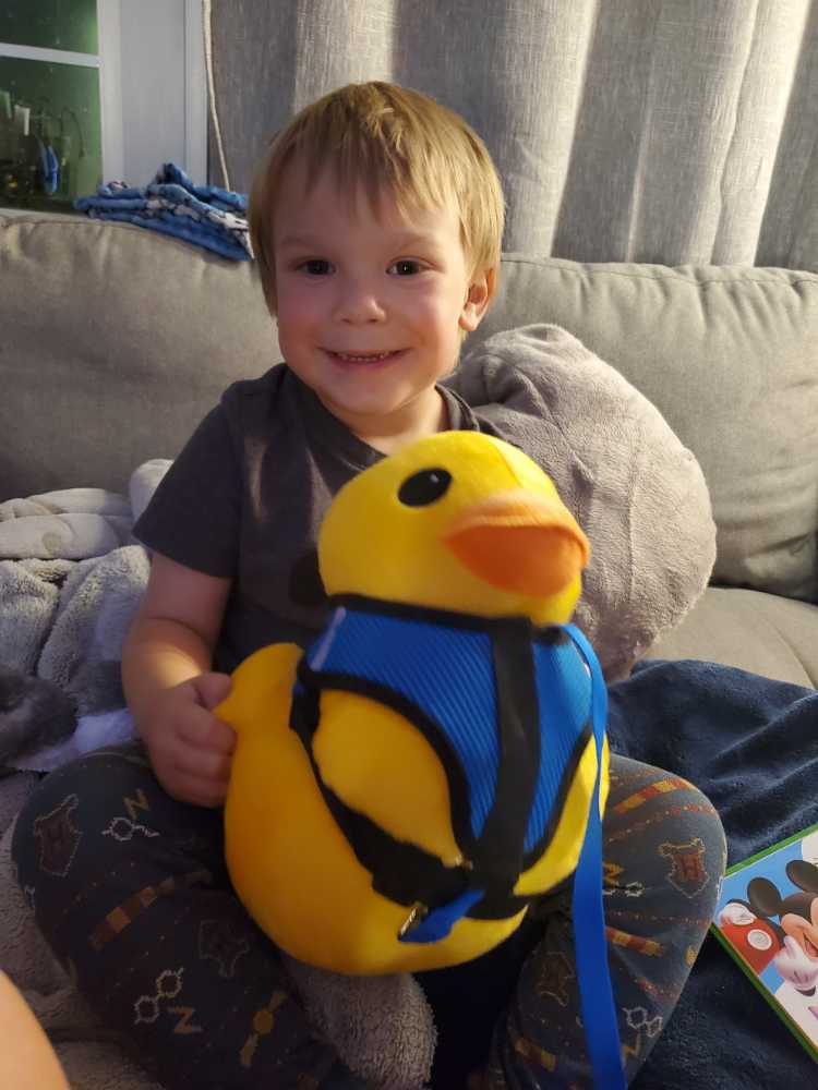 Ducky  plush collectible - Main Image 2