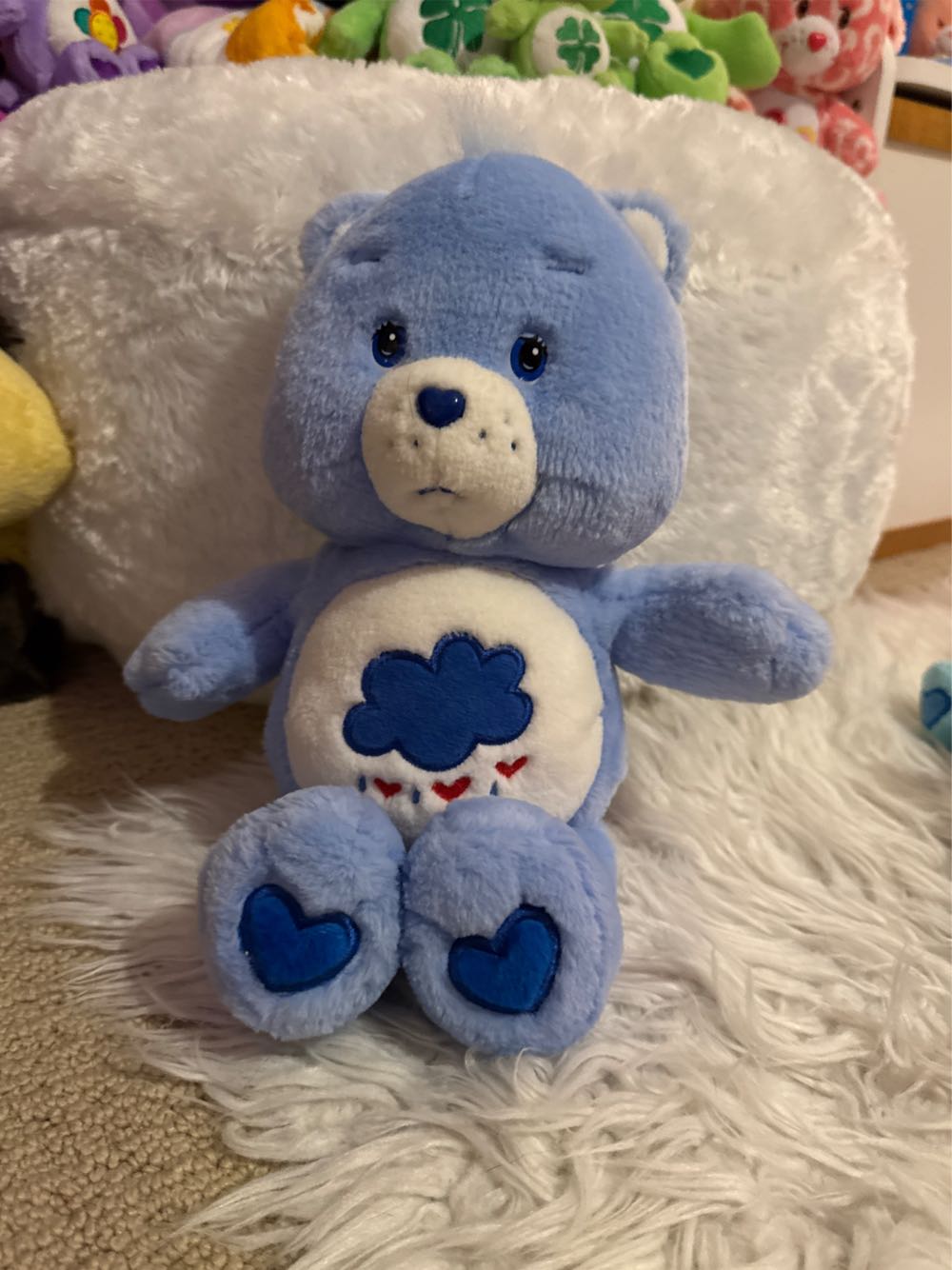 Pound Purries Tuxedo Cat