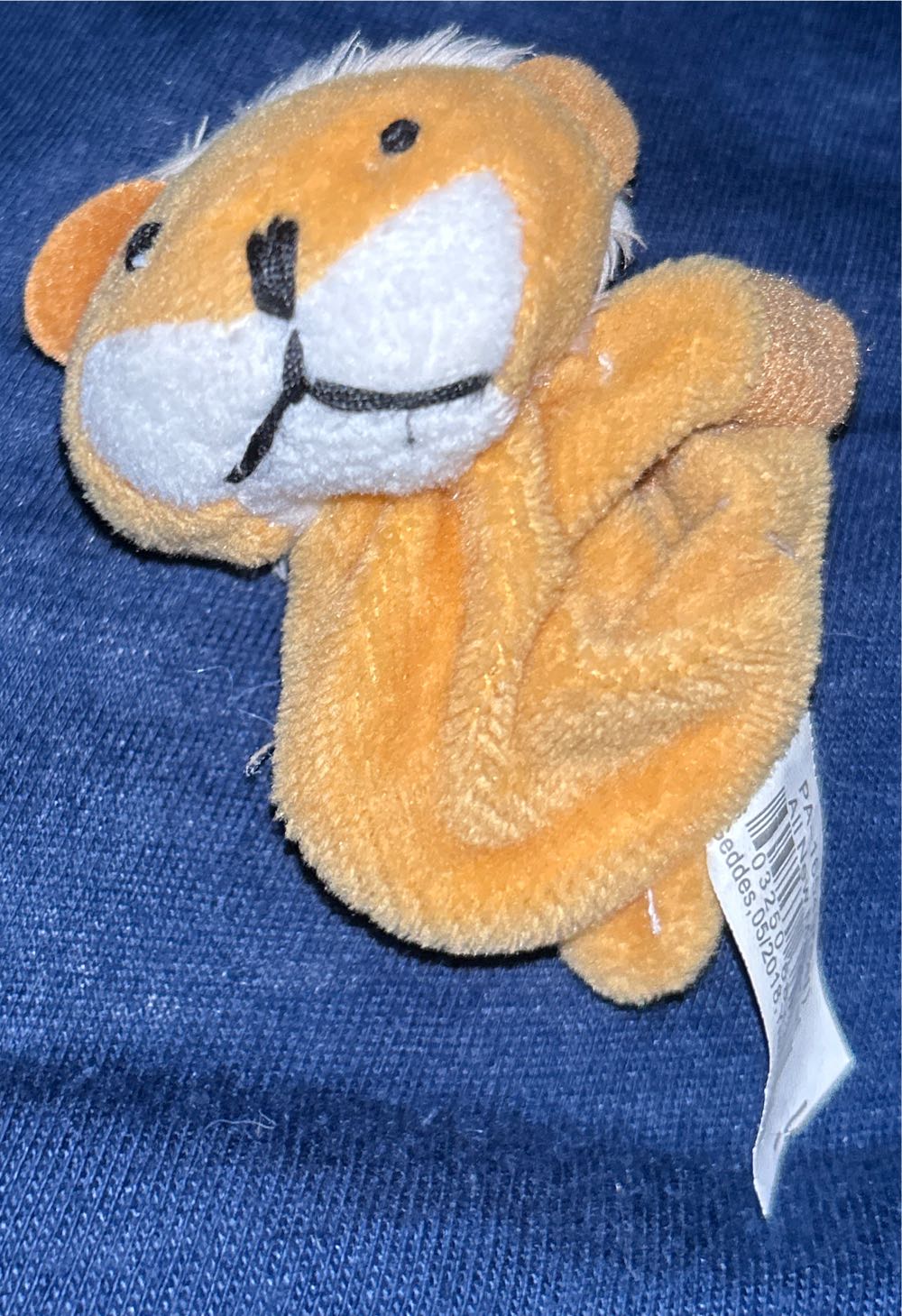 Bashful Rooster - Medium 