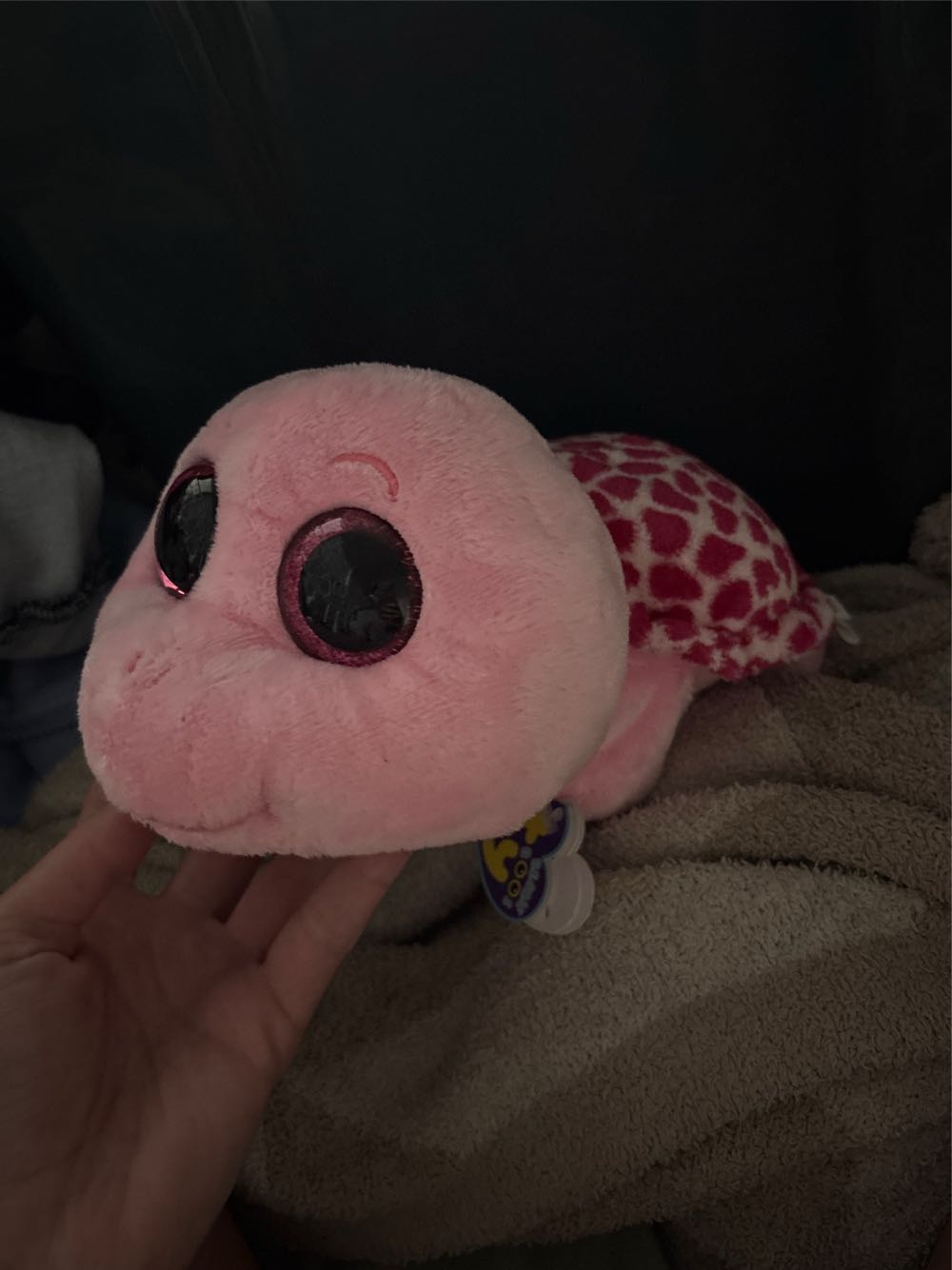 Ty Beanie Boos Myrtle Pink Turtle Boo Myrtle  plush collectible [Barcode 008421369881] - Main Image 2
