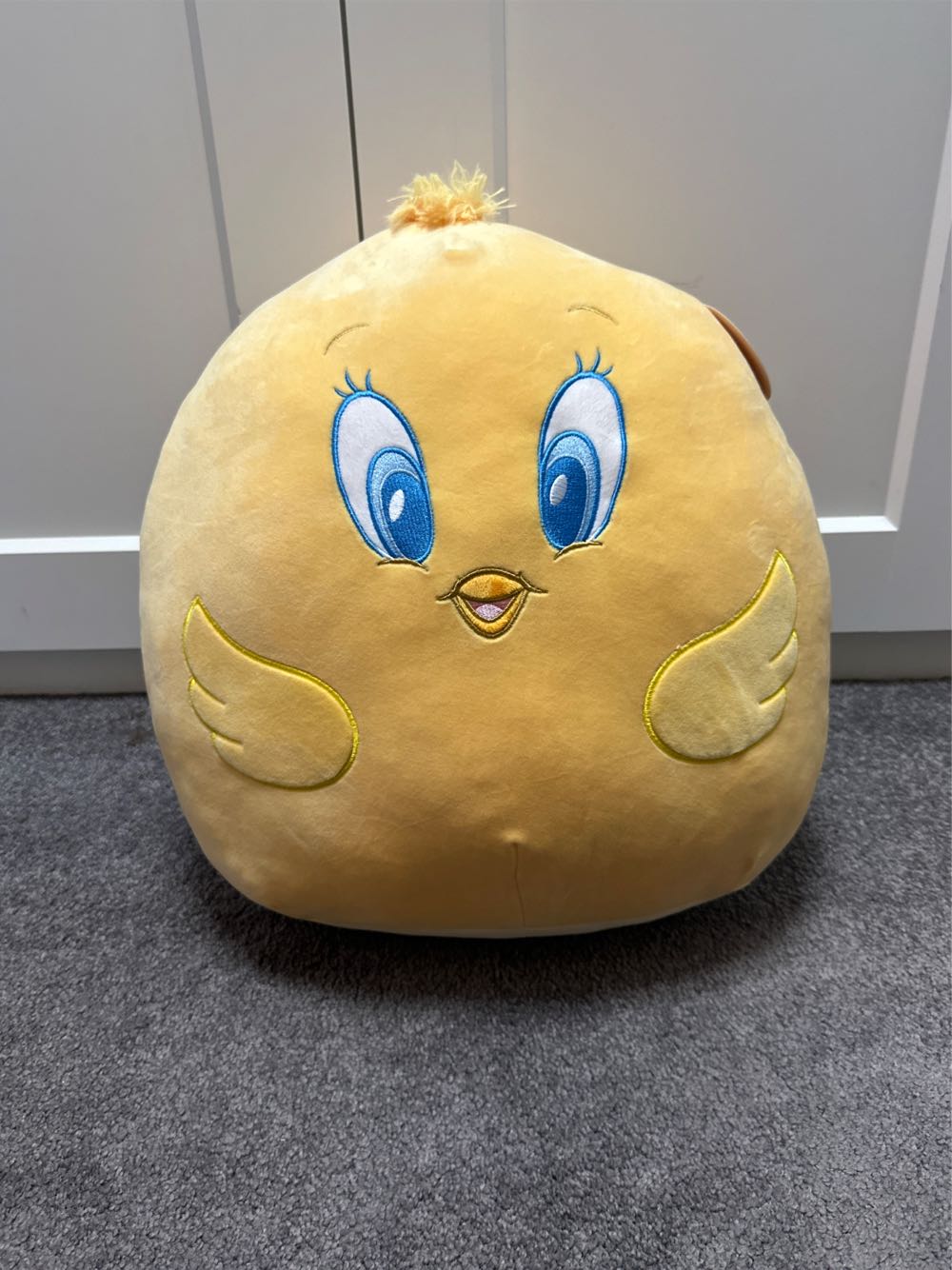 Mr Pa Animal Limited Company V1