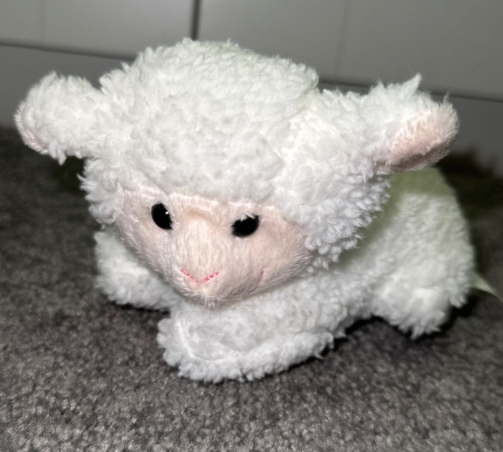 Trainers Mascot Key Chain Pokemon Center Original Pokemon Trainers N Mascot From Japan New Pokemon Limited X Keychain