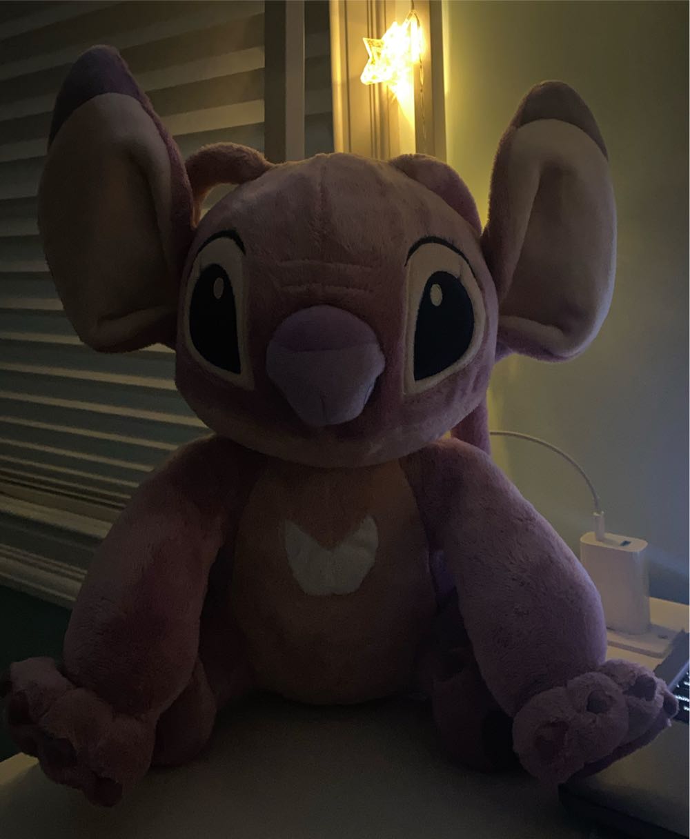 Christmas Pooh And Tigger Snowglobe 