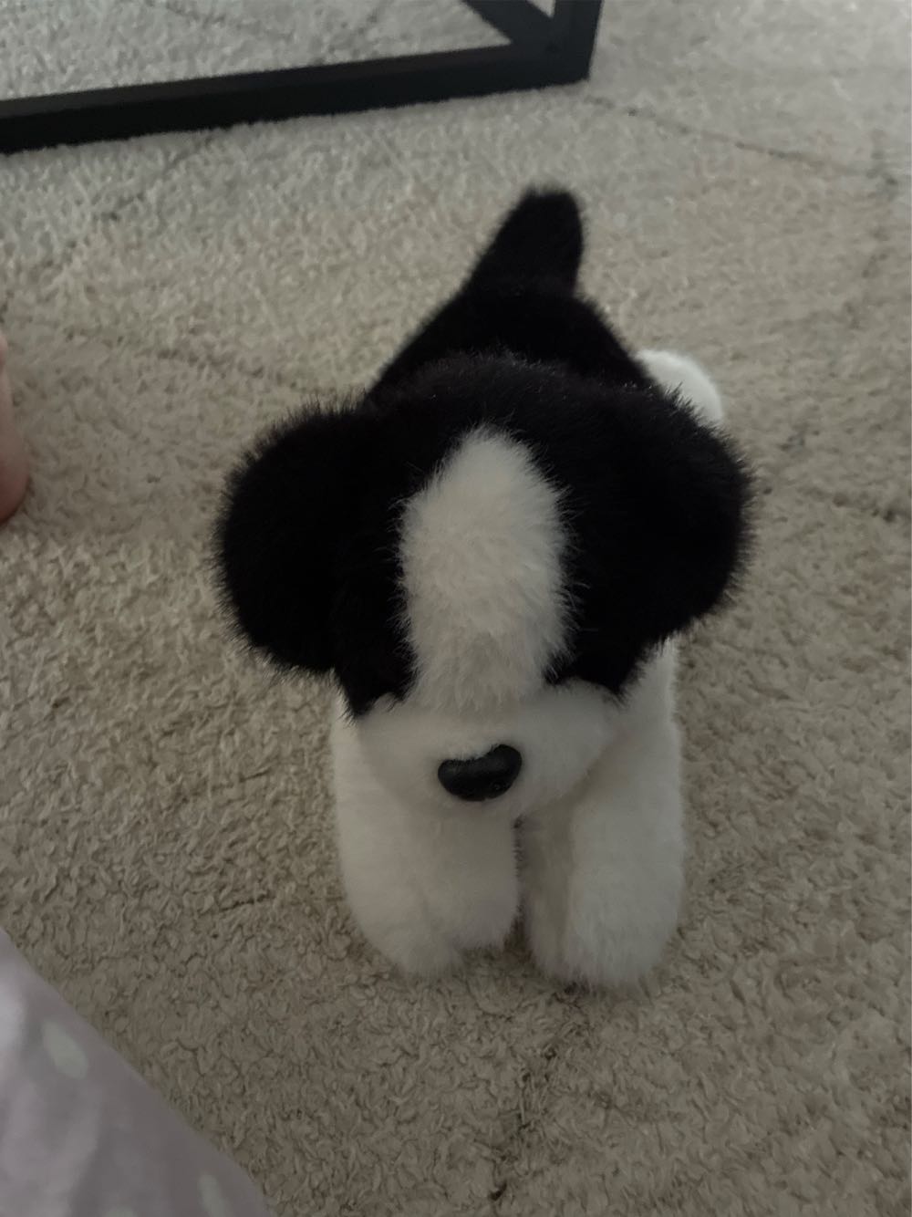 December Birthday Party Bear Plush