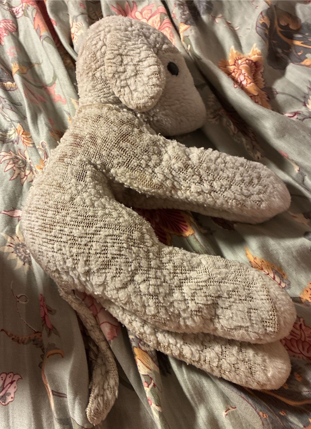 Blastoise Kyogre Fusion