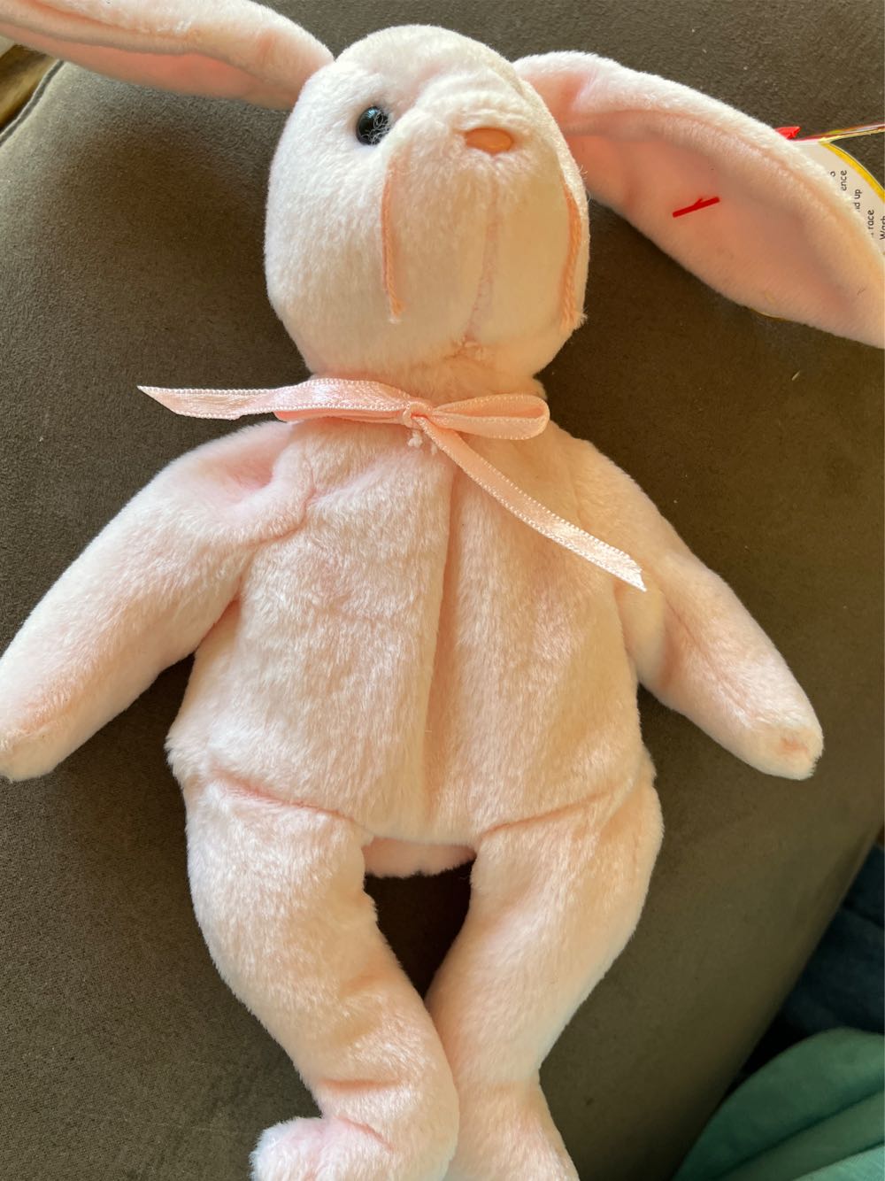 Bashful Fern Bunny - Small