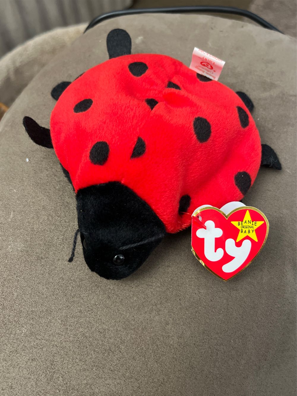 Best Friend Bear (Fancy Tea Party) 8”