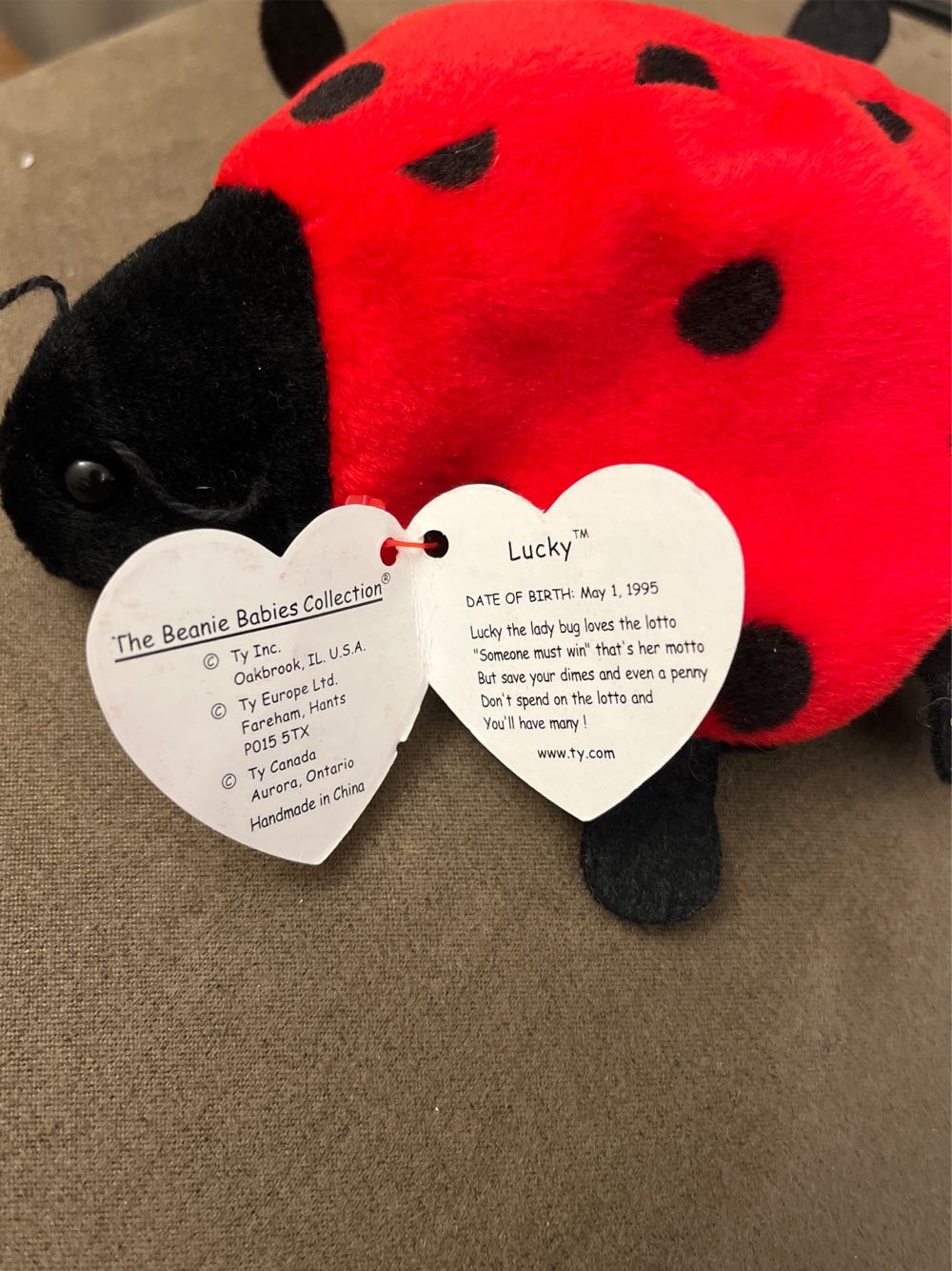 Lucky the Ladybug 11 Spot  plush collectible [Barcode 008421040407] - Main Image 2