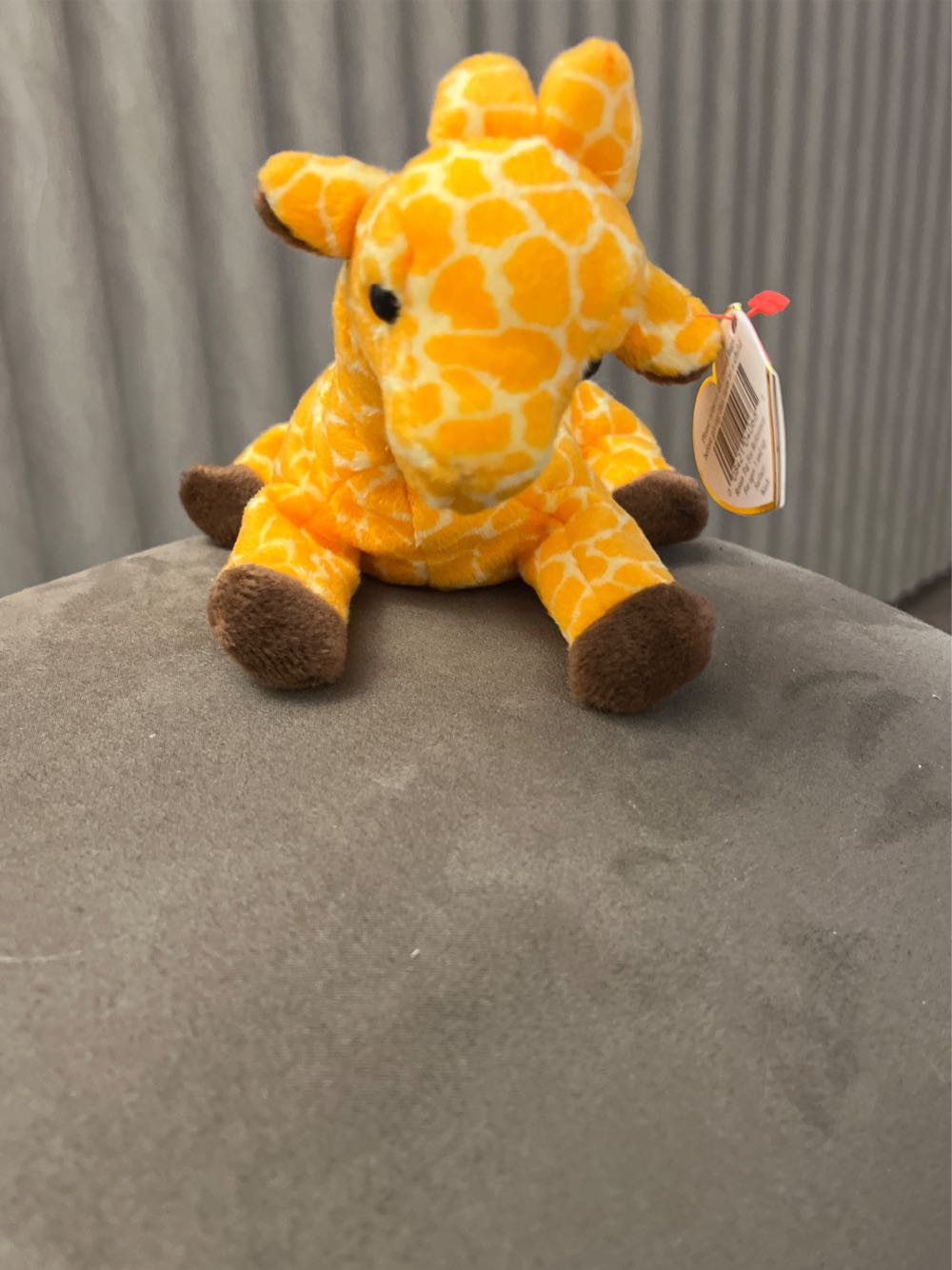 Funshine Bear (Play Along) 10”