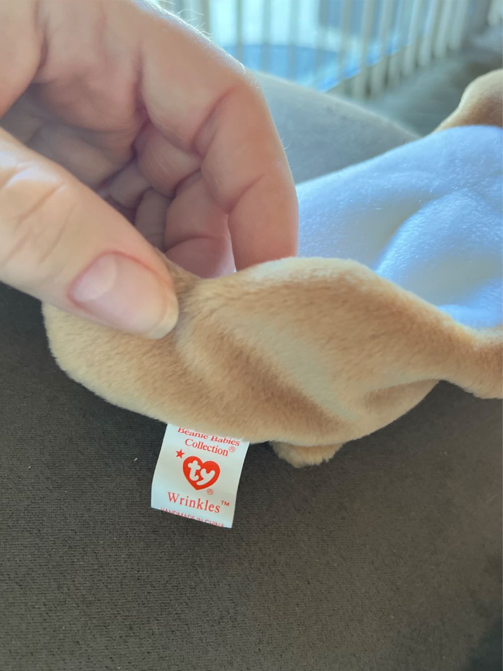 Wrinkles the Dog  plush collectible [Barcode 008421041039] - Main Image 4