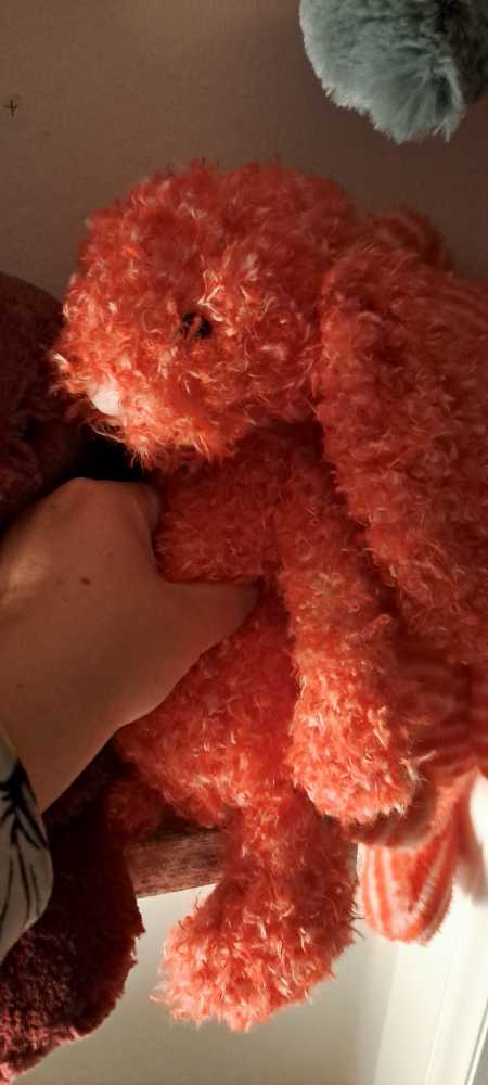 Jellycat Bunny Bashful Holly Bunny Blossom Bunny Medium 31 Cm Nwt New With Tag Authentic New Limited Exclusive Sold Out Retired Rare Stuffed Little Brown Red Toy Animal Amuseables Rabbit Tags Purple Soft Silver Kitten Htf Grey Horse  plush collectible [Barcode 670983155297] - Main Image 2