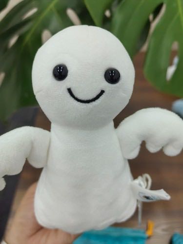 Cover Front Amana 325499