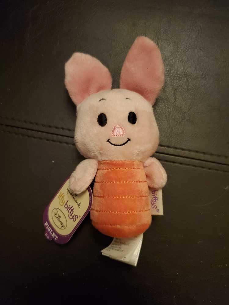 Champ Bear (Play Along) 13”