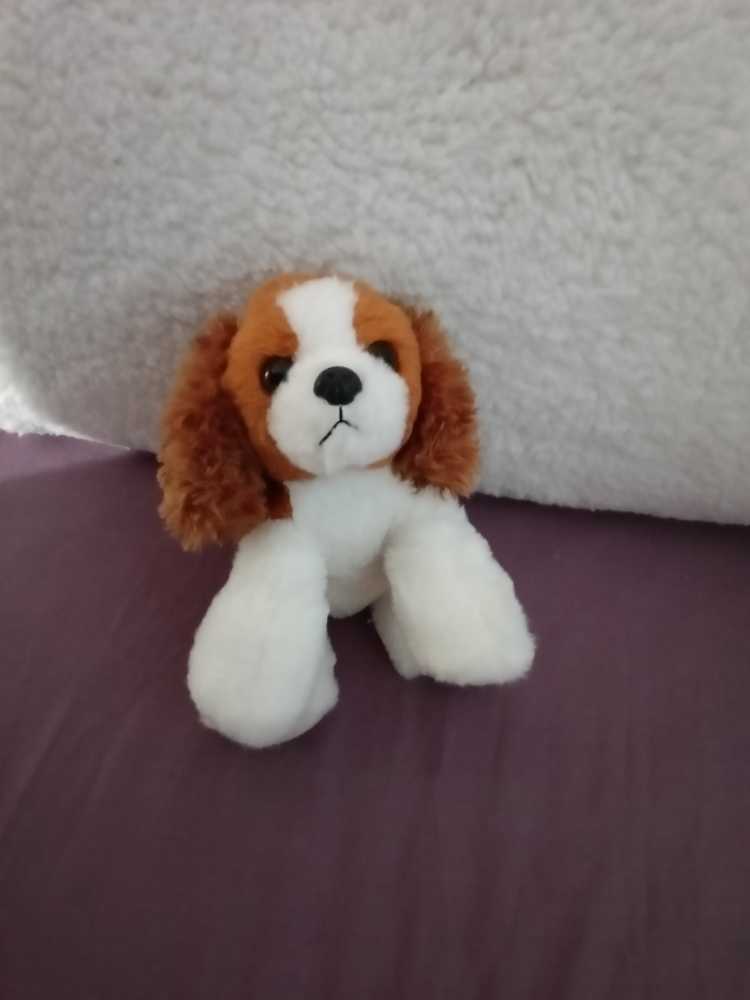 Christmas Pooh And Tigger Snowglobe 