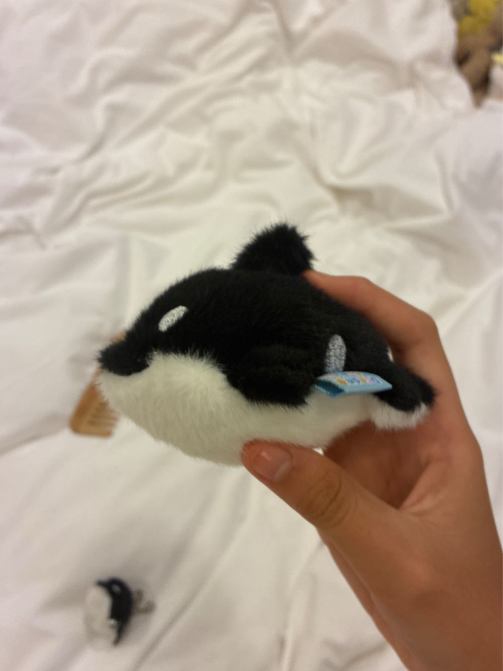 Orcy Orca  (Singapore) plush collectible - Main Image 2