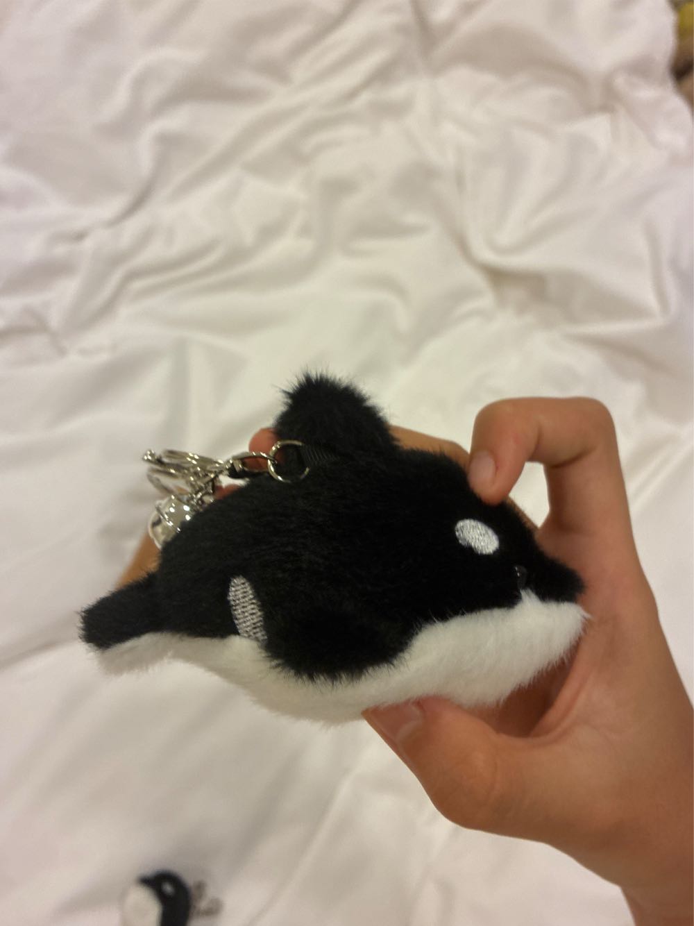 Orcy Orca  (Singapore) plush collectible - Main Image 3