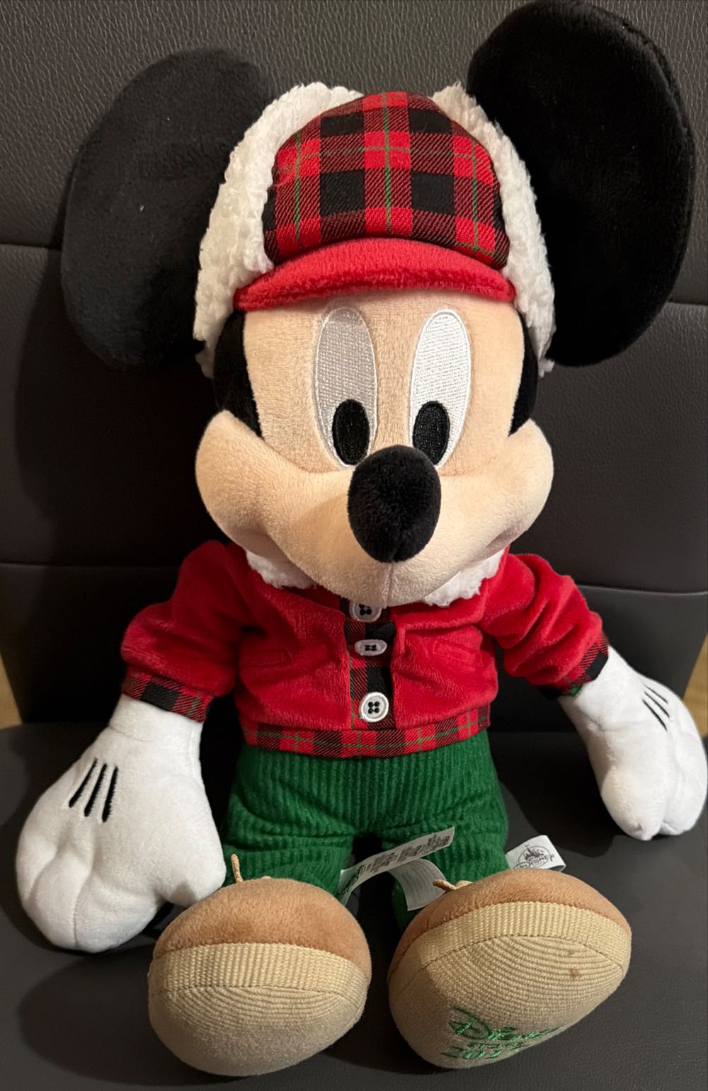 Pokemon Center Original Plush Pokemon Fit Yungoos