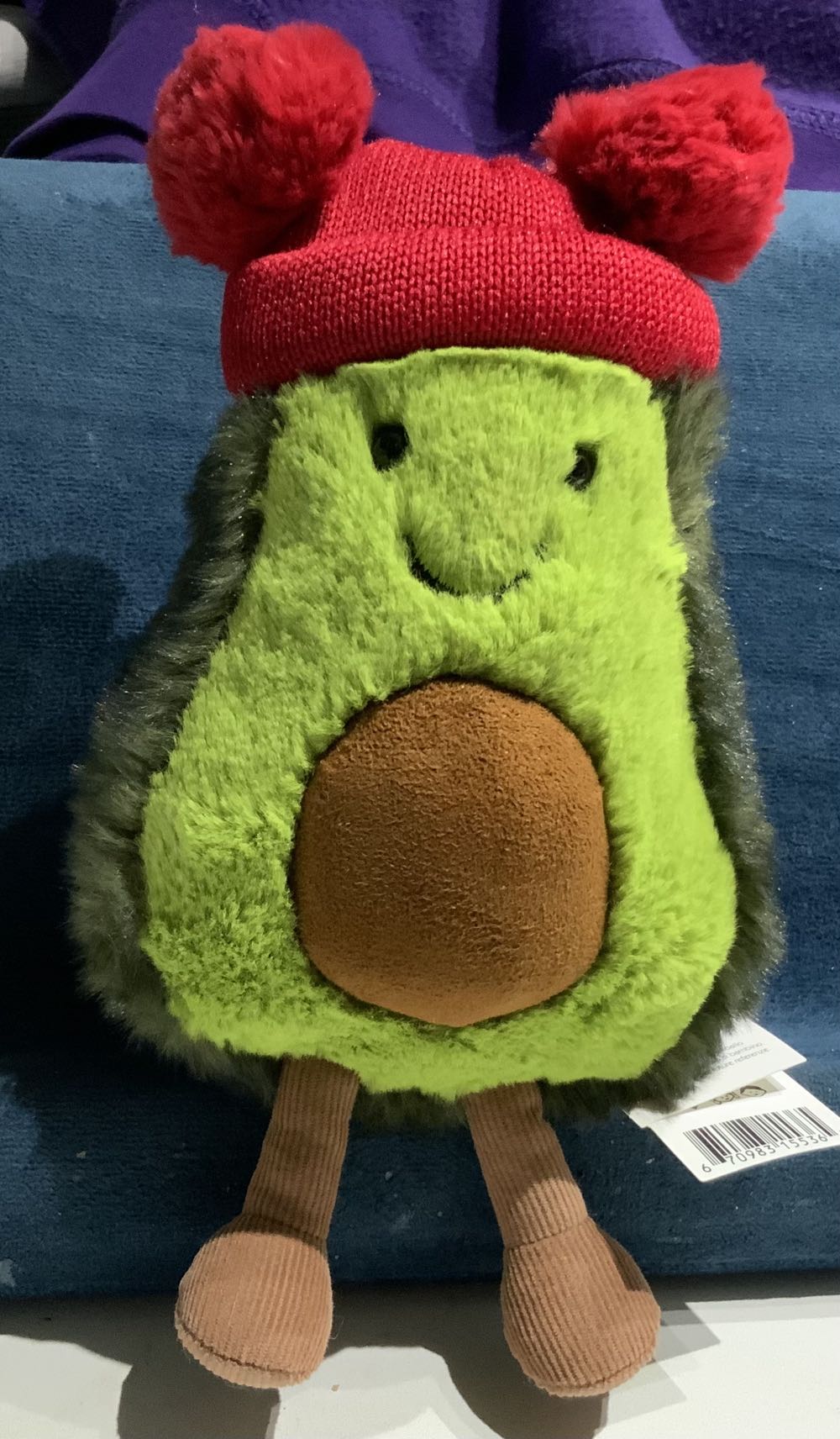 Flareon Comfy Friends