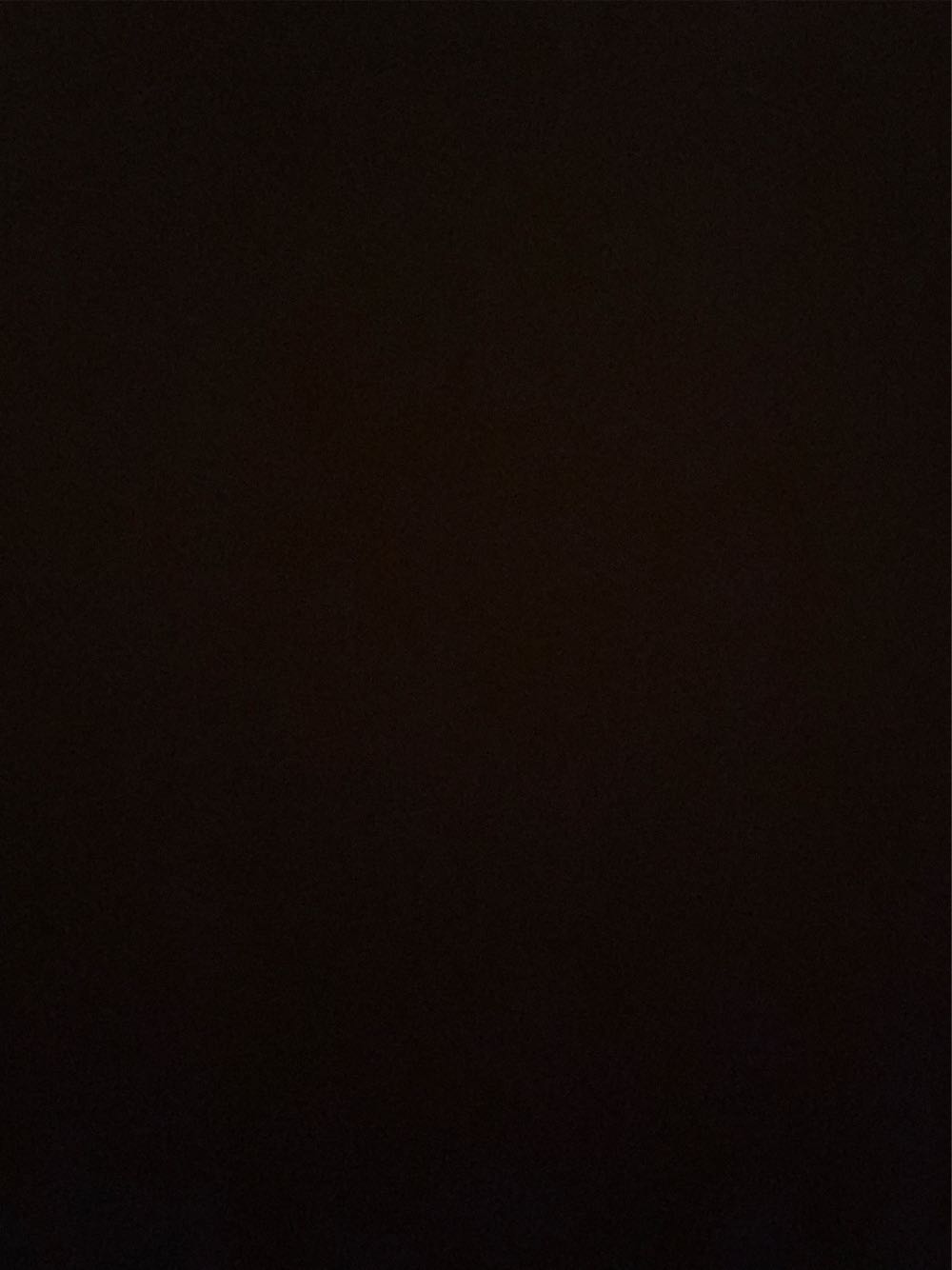 Pokemon Center Japan Pikachu Card Holder Tcg Display Japan Exclusive Stand Original Doll