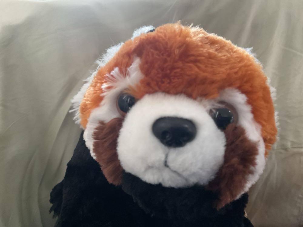 Squishmallows Plush 13 Cm Series 19a Seahorse Quayn T00004096 59629